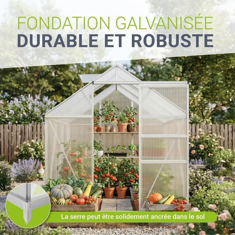 Serre en aluminium avec fondation