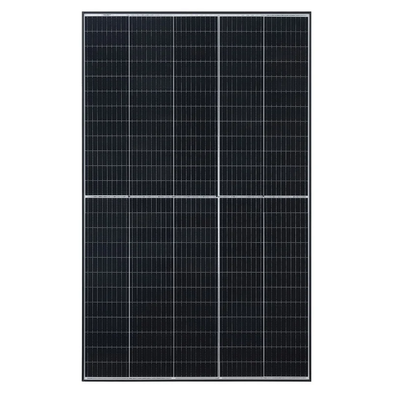Panneau solaire Risen RSM40-8-410M