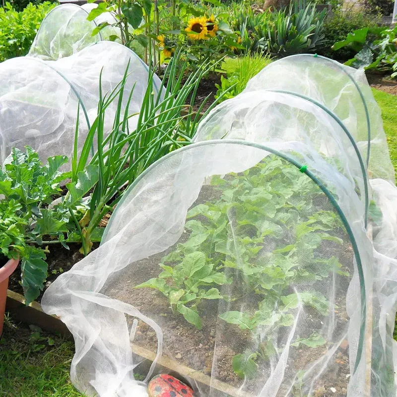 Serre À Plantes Maille Fine PROTEA