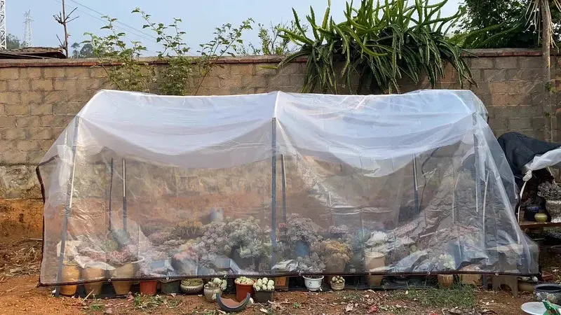 Bâche Imperméable Transparente VIVENO