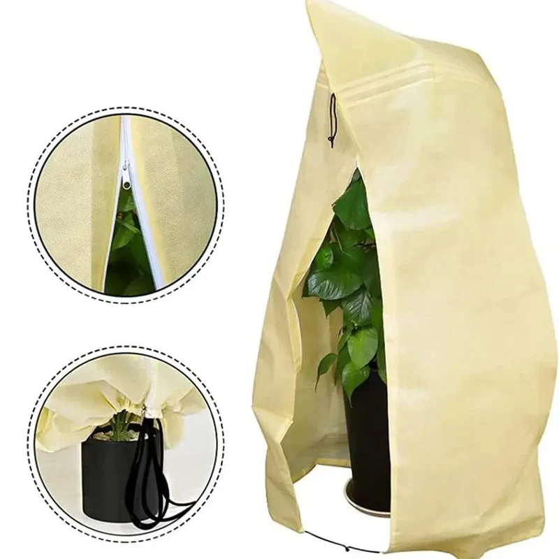 Voile Hivernage Plante Non Tissé ARBOZIN