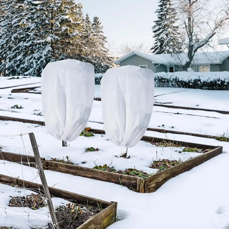 Voile Hivernage Plante Non Tissé ARBOZIN