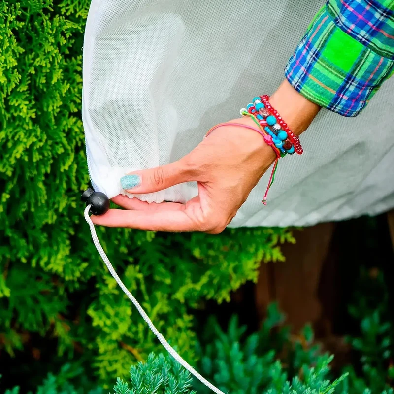Voile Hivernage Plante Non Tissé ARBOZIN