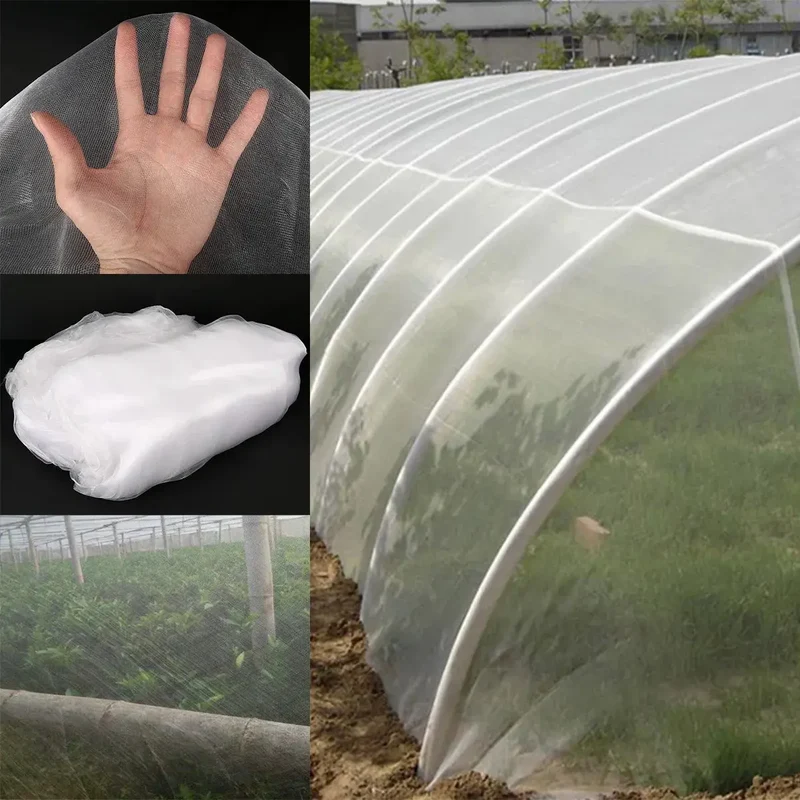 Serre à Plantes Pliable Végétale AERIO
