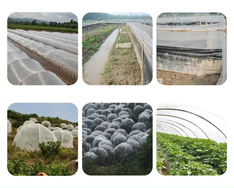 Serre à Plantes Pliable Végétale AERIO