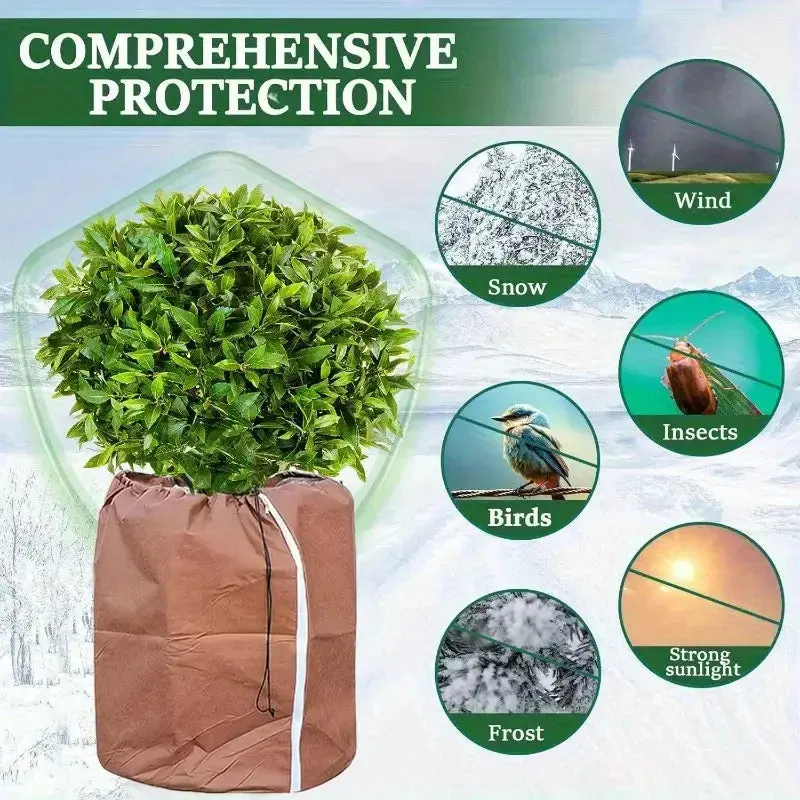 Housse Hivernage Plante Oxford GLACIA