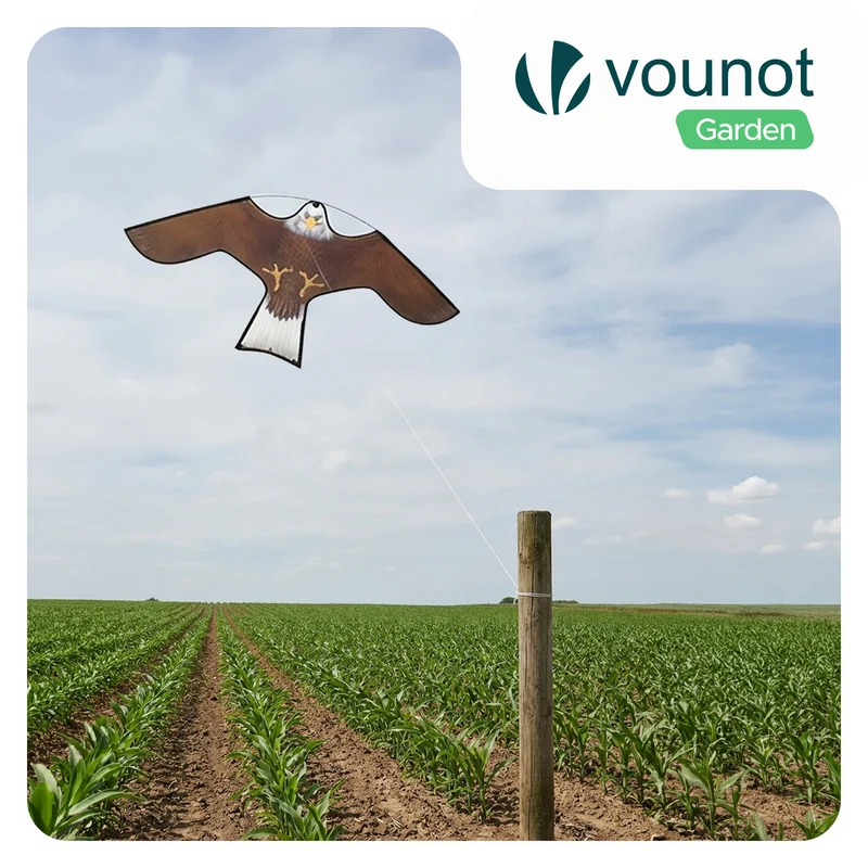 Cerf volant anti oiseaux effaroucheur sans mat Faucon modele B