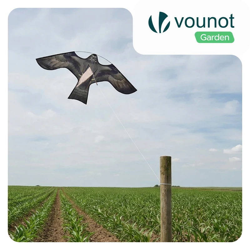 Cerf volant anti oiseaux effaroucheur sans mat Faucon modele F