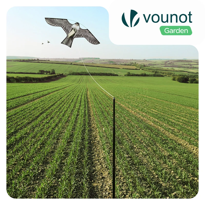 Cerf volant anti oiseaux effaroucheur avec mat Faucon modele A