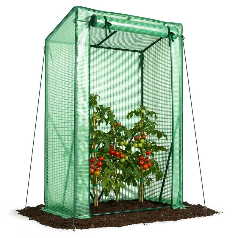 Serre de jardin Serre tomates avec grande porte enroulable bache PE renforcee 135g/m2 100x50x150cm Vert