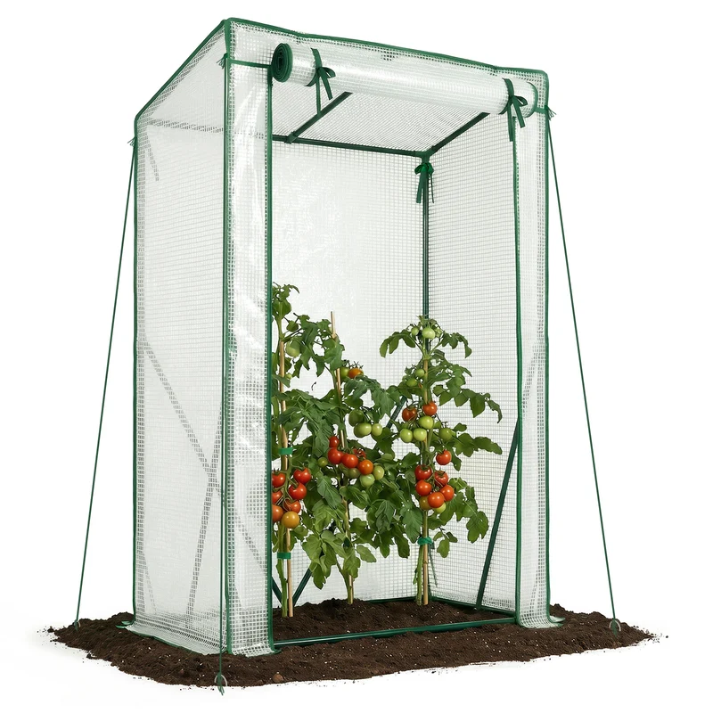 Serre de jardin Serre tomates avec grande porte enroulable bache PE renforcee 135g/m2 100x50x150cm Blanc