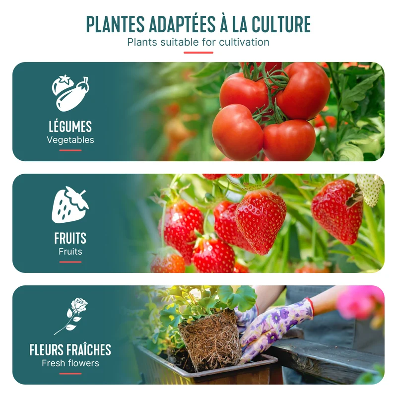 Serre de jardin Serre tomates avec grande porte enroulable bache PE renforcee 135g/m2 100x50x150cm Blanc