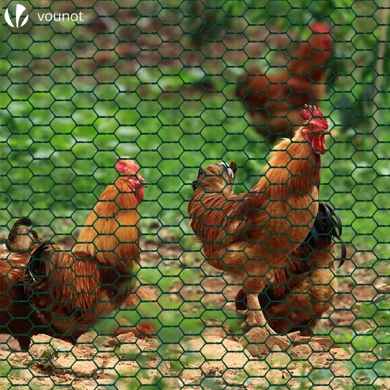 Grillage a poule avec fils 25mm en PVC gaine vert 1x25M