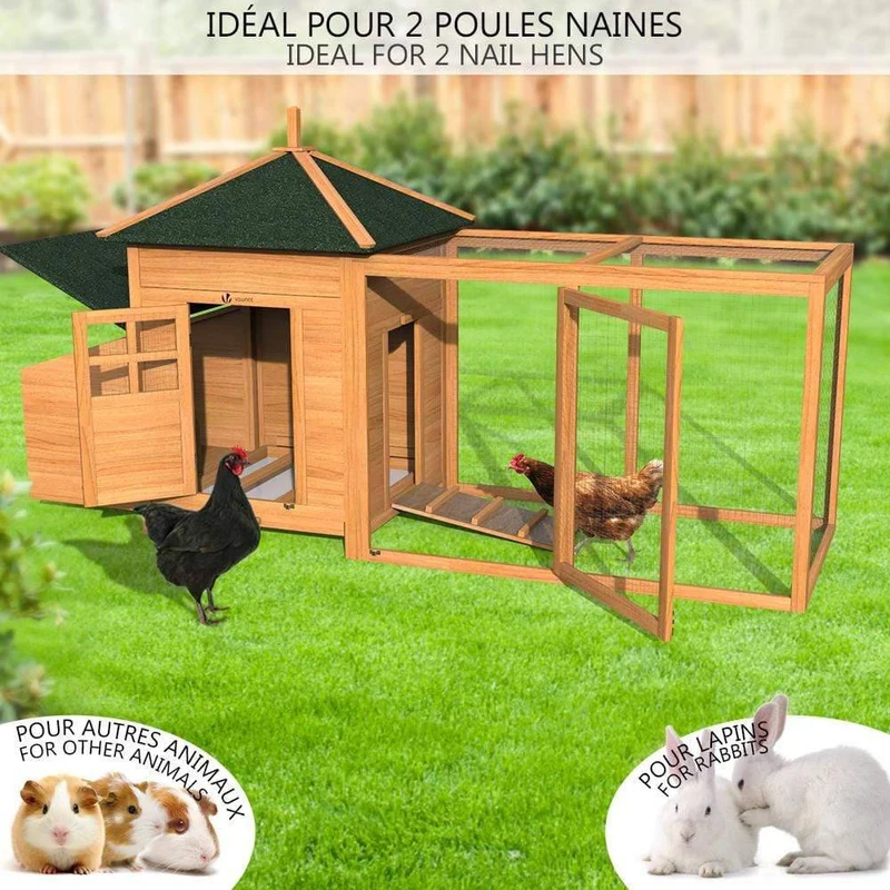 Grand poulailler en Bois avec Pondoir et Perchoir