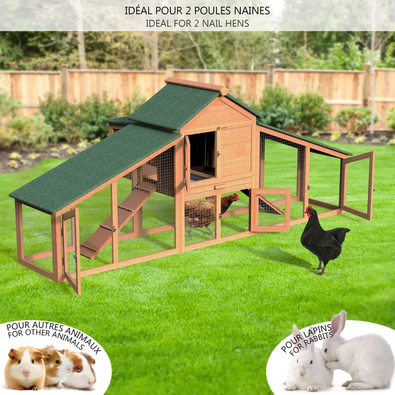 Poulailler en Bois XL avec Pondoir et Perchoir