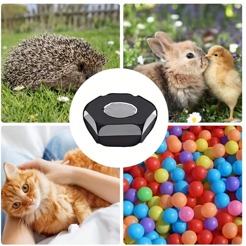 Parc de Jeu Respirant pour Petits Animaux