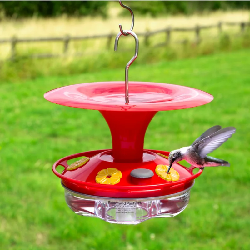 Mangeoire Colibri Multi-Port Transparente
