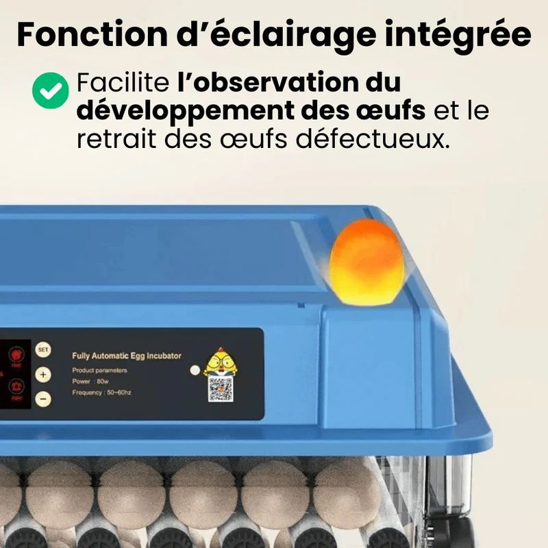 Couveuse Automatique Professionnelle Poulailler