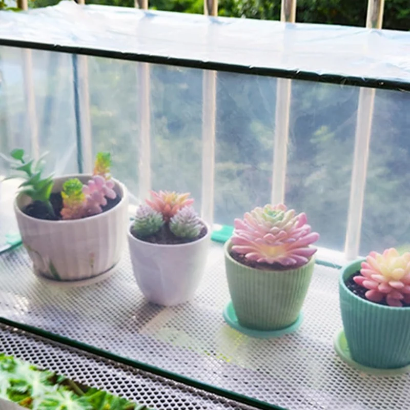 Mini Serre Protectrice Compacte Transparente