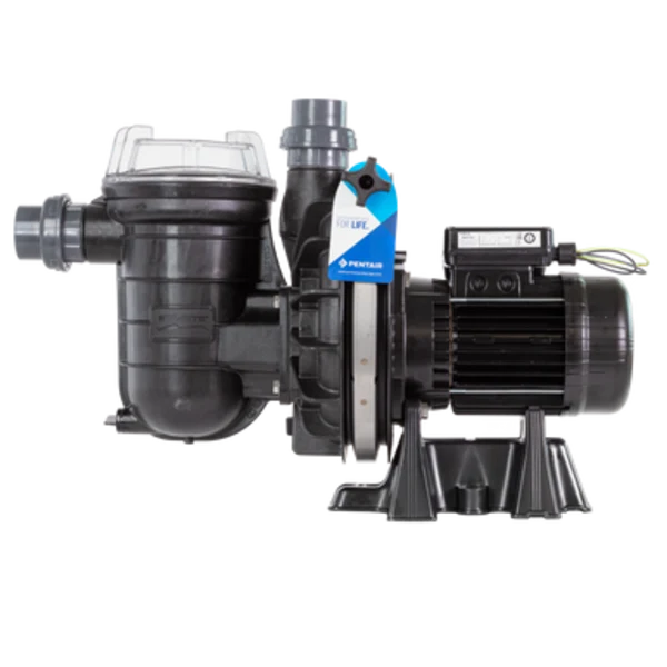 Pompe La Sta-Rite 0,75 CV Mono (13 m³/h) - Pentair