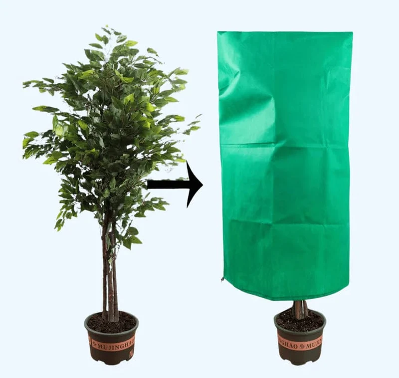 Housse de Protection Antigel pour Plantes