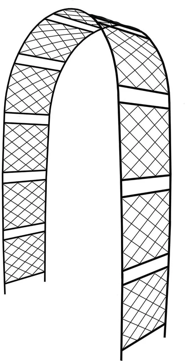 Arche pour rosiers en métal noir 240 x 140 x 50 cm design classique décoratif jardin en fer noir 13_0018823