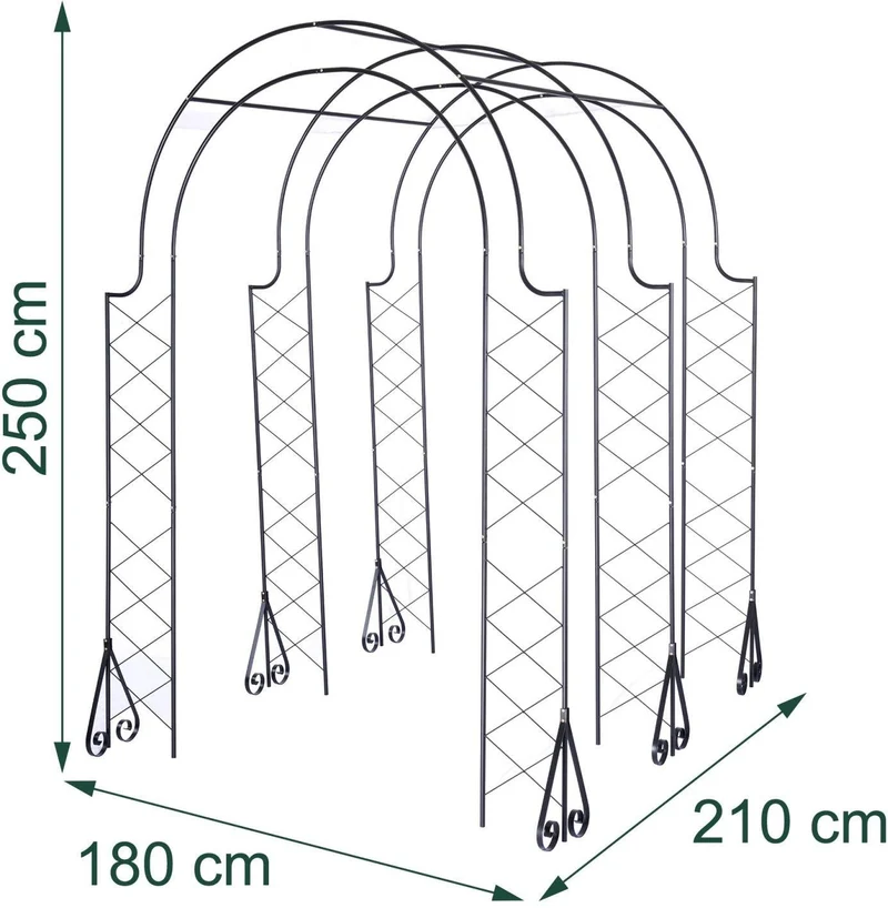 Arche de jardin treillis pour rosiers 250 x 180 x 210 cm support élégant en acier noir 13_0018882