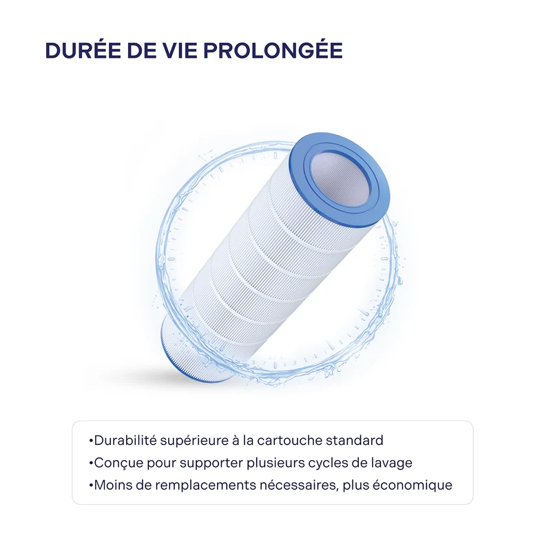 Cartouche Pentair Clean & Clear RP 150 pi²