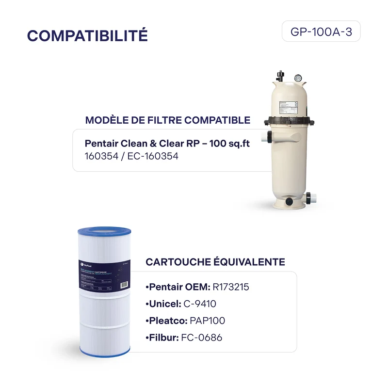 Cartouche Pentair Clean & Clear RP 100 pi²