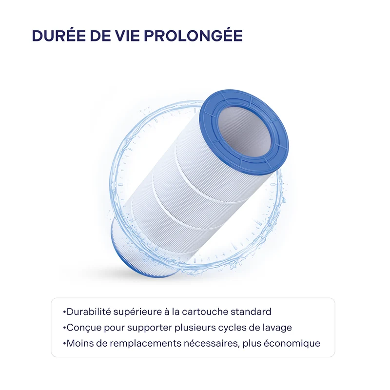 Cartouche Pentair Clean & Clear RP 100 pi²