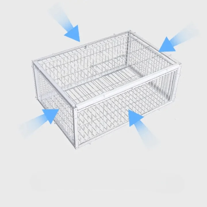 Piège à Oiseaux Sécurisé et Durable