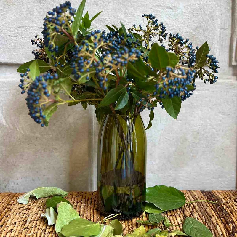 VASES BOUTEILLE - VERT FEUILLE