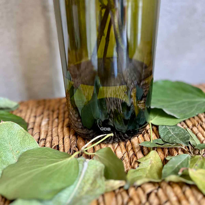 VASES BOUTEILLE - VERT FEUILLE