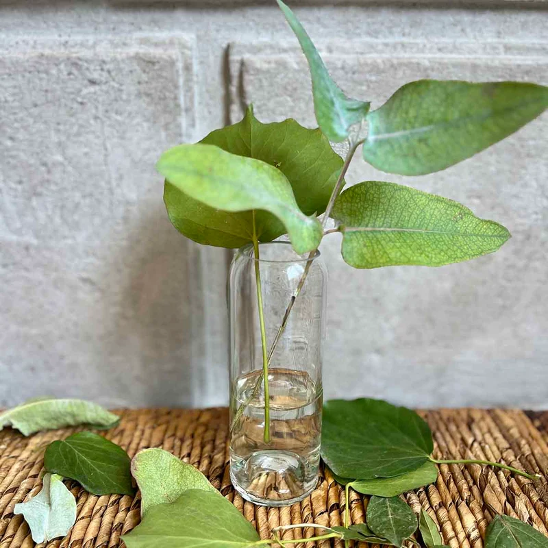 VASES BOUTEILLE - BLANC