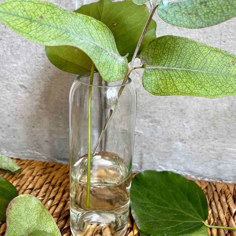 VASES BOUTEILLE - BLANC