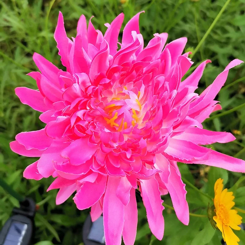 Lampe Solaire Chrysanthème Éclatante