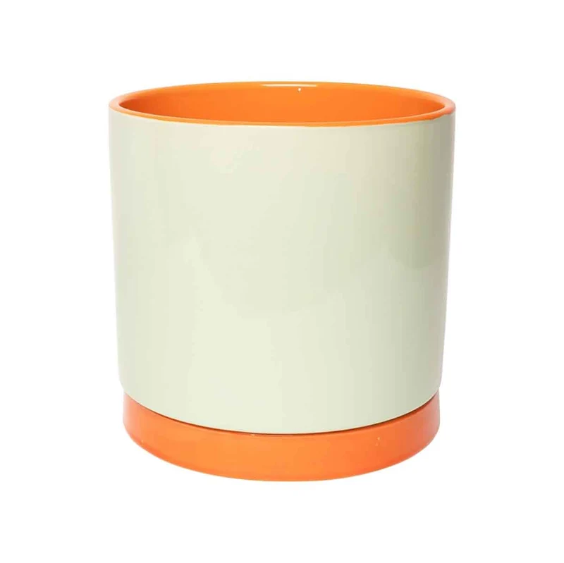 CACHE POT POP - MENTHE