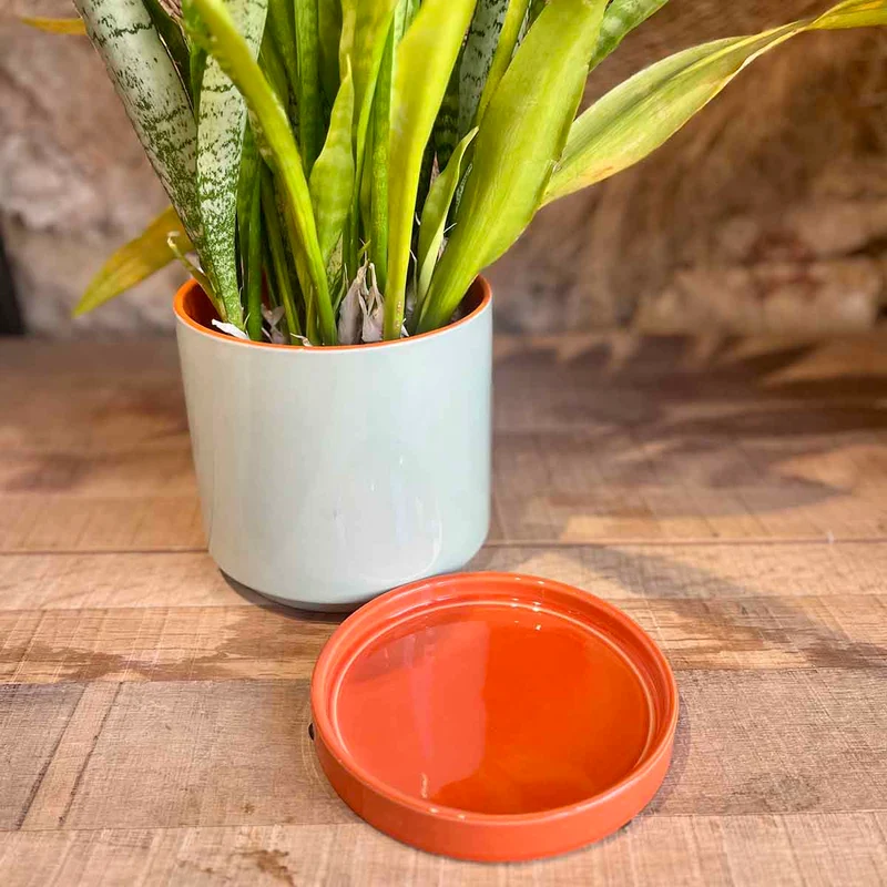 CACHE POT POP - MENTHE