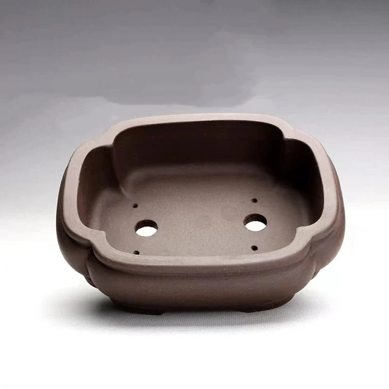 Pot de Fleur Bonsaï en Céramique Élégant