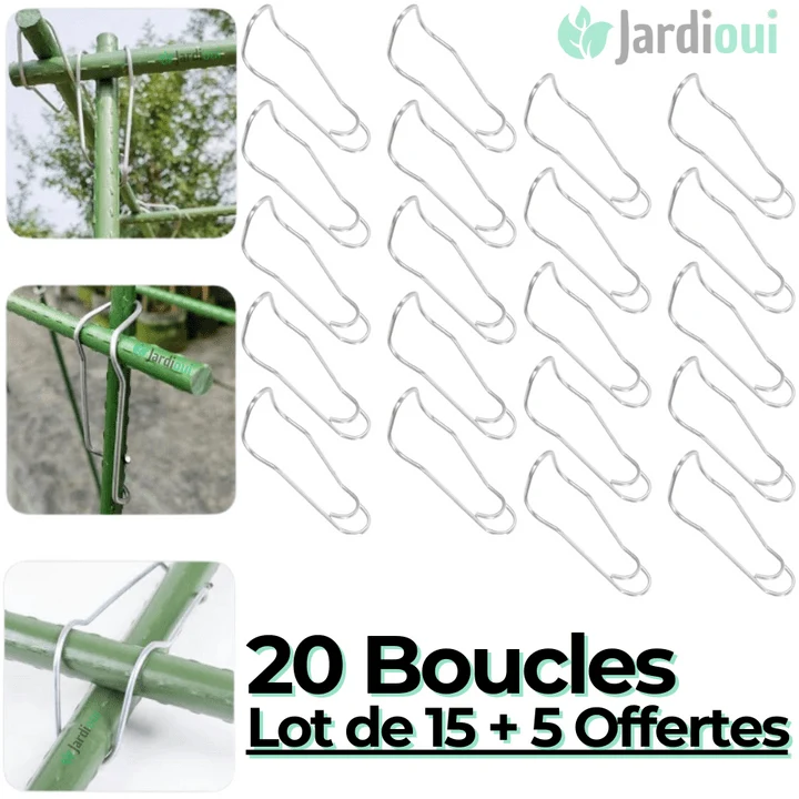 Pack Boucles de Connexion pour Plantes Ultra-Résistant