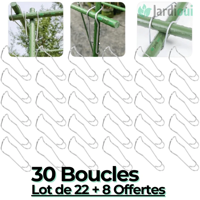 Pack Boucles de Connexion pour Plantes Ultra-Résistant