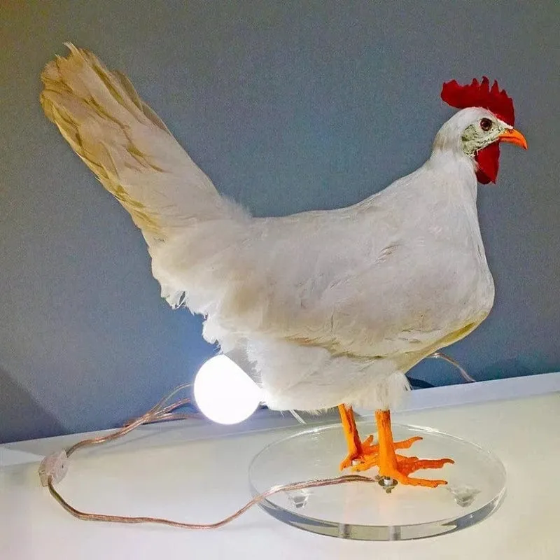 Veilleuse Poulet Ludique avec Œuf Éclatant