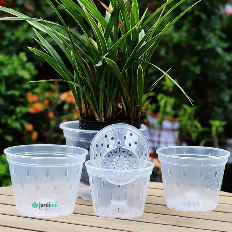 Pots de Culture Transparents Aérés Premium