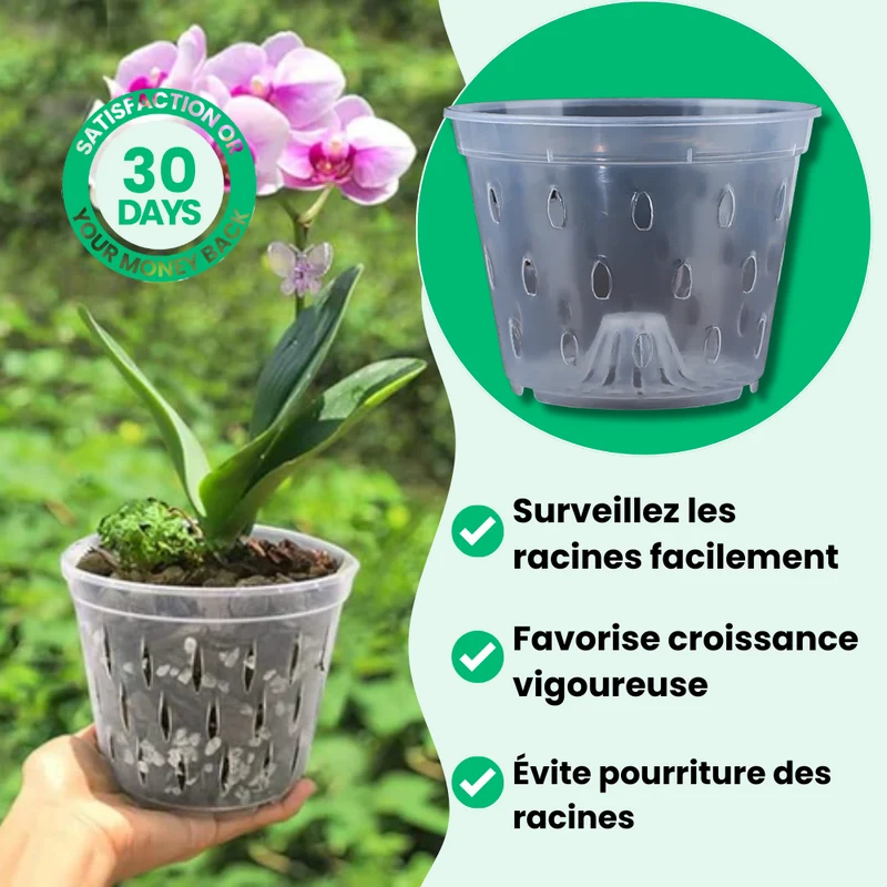 Pots de Culture Transparents Aérés Premium