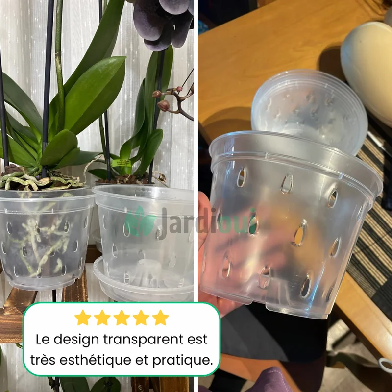 Pots de Culture Transparents Aérés Premium