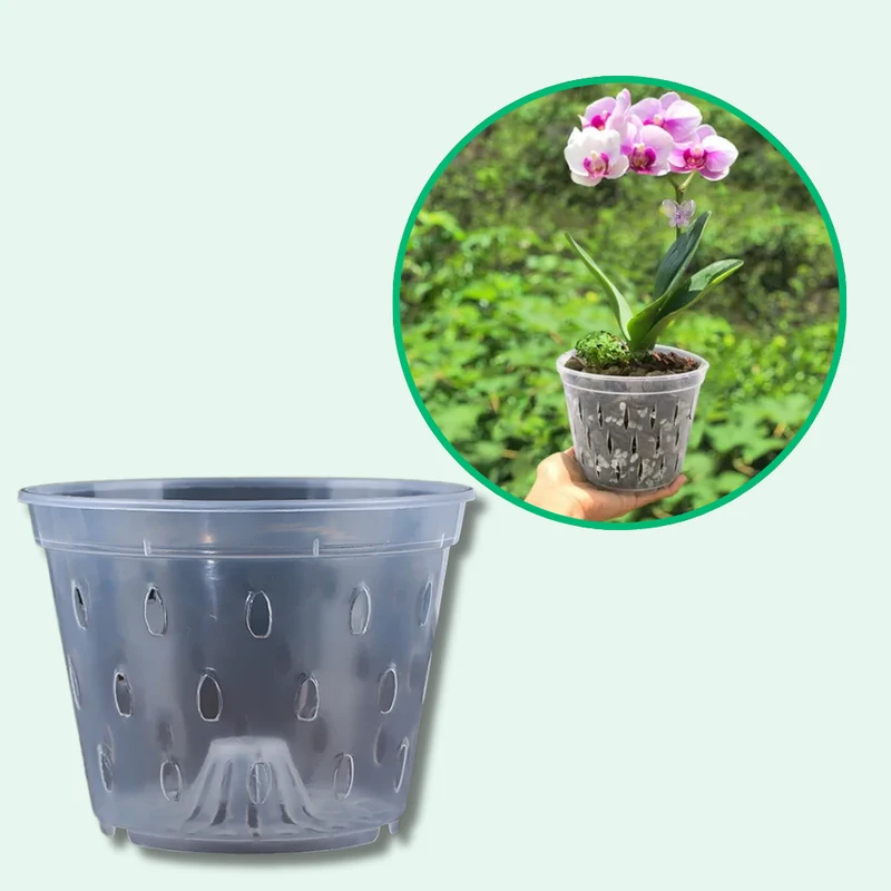 Pots de Culture Transparents Aérés Premium