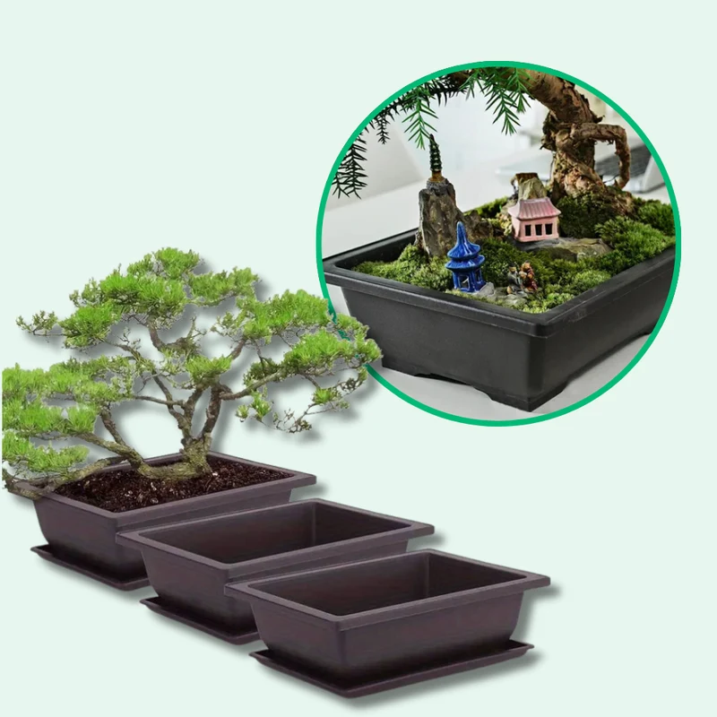 Jardinière Rectangulaire Élégante