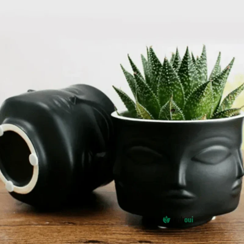 Pot de Fleurs Visage Artistique