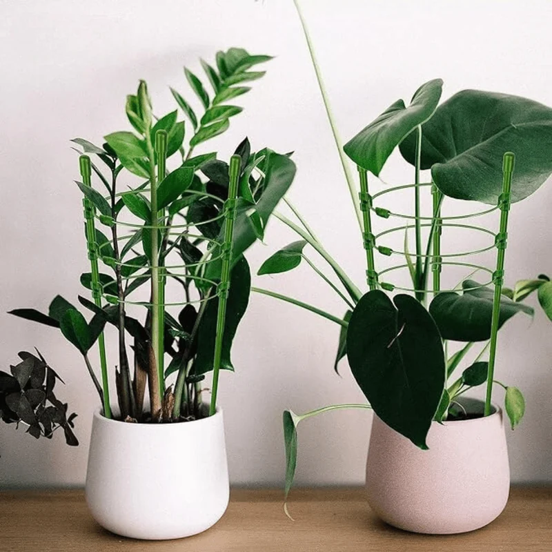 Structure de Soutien Ajustable pour Plantes Grimpantes