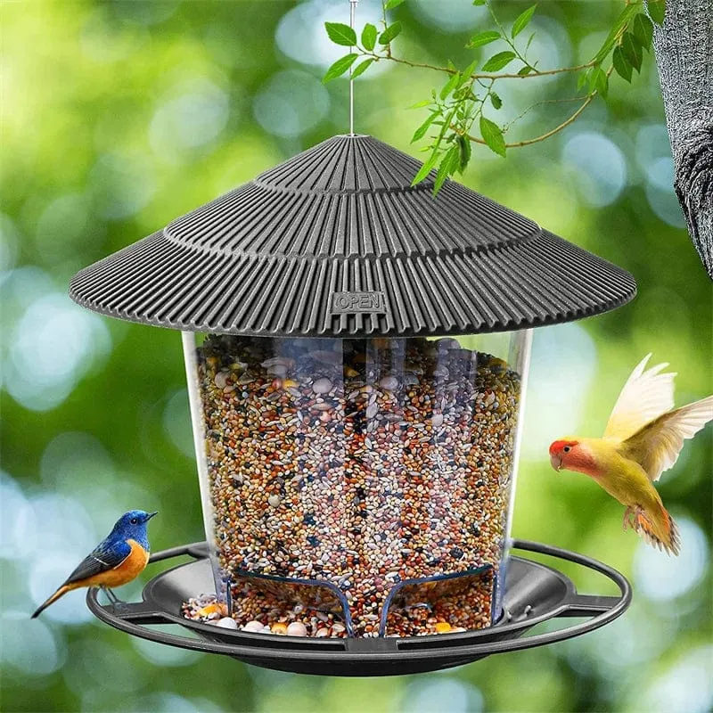 Mangeoire Automatique Suspendue pour Oiseaux